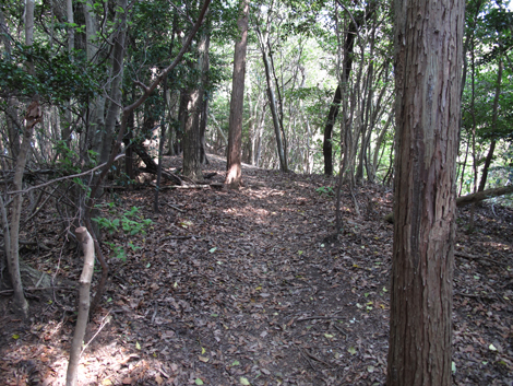 20140426hike (201)